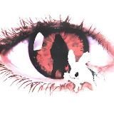 неспешно о важном