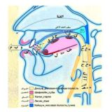 Исламские книги📚