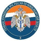 МЧС Новосибирской области