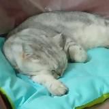 Блог Айны 🏳️🌈