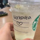 Чат морковки