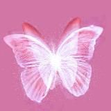 GLI AMICI DELLA FELICE BIBLIOTECA 🌸💮🍥