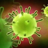 🦠 ПАНДЕМИЯ / COVID-19