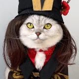 Косплеи от капибары