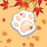 K-PROJECT Studio | K-POP COVER DANCE SARATOV