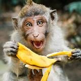 DISNEY ХАТКА🦄