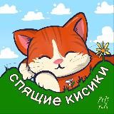 спящие кисики