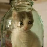 За что меня забанили у Машковой?