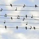 ИЗУЧАЕМ МУЗЫКУ🎶