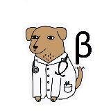 Dogtor_beta