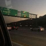 ♡🐝 𝐈ND𝕀𝐫ε𝒸Ťα𝓢. ☟🐙