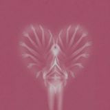 твоя поддержка 💓