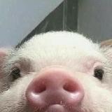 Поля (не) в люти тильти