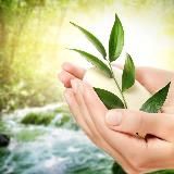 Бесплатное Здоровье. Рецепты красоты.