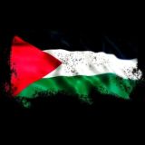 Ночной ☾ Путник