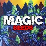 Magic Seed’s