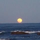 • 🪴 Кофе с молоком 🕯 •