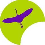 БФ Алексея Станина