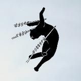 ТВОИ КОШМАРЫ🎈