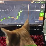 Luis MX Trader
