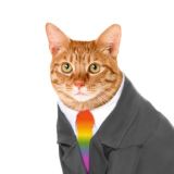 Беседа Пугода (с тремя галочками)