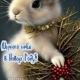 ОСА Кастинг АГЕНТ Москва