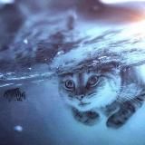 🧞♂️MarketingIceberg