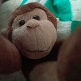 Обезьяний хаус|комфорт 😱😐