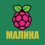 Партия «молодость»