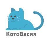 КотоВасия 🐈