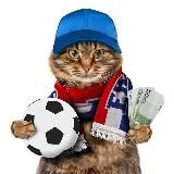 КОТ ДАЁТ СТАВКИ