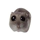 (not)Sad Hamster