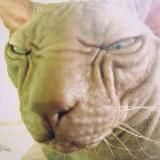 Андрей Бледный