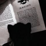 𝓬𝓪𝓽𝓼 🖤