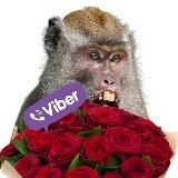 Открытки для родственников в вайбер