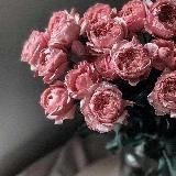 Обои для смартфона