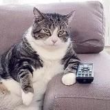 Одобрено Strannik'ом