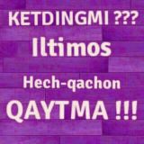 ❤️❤️BAXTINGNI TOP❤️❤️