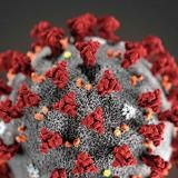 ⚜️ Газета Корона 👑