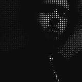 238 I ijij I dvadvatttrrriii8