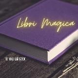 Драмиона | Темиона фанфики by Elfiica (18+)