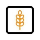 Agrobridges | оголошення на продаж та купівлю зернових 🇺🇦