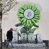 Crypto Cos