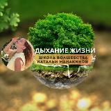 ДЫХАНИЕ ЖИЗНИ - ШКОЛА ВОЛШЕБСТВА НАТАЛЬИ МАНАКИНОЙ