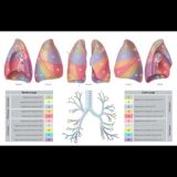 Обсуждения