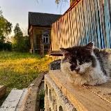 Блог «Играй-Играй»