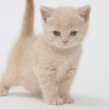 Добрые новости