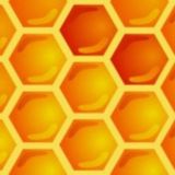 Медовый | Соседи