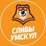 СЛИВЫ КУРСОВ | ОГЭ ЕГЭ