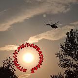 ДОНБАСС-ВОЙНА "Z"